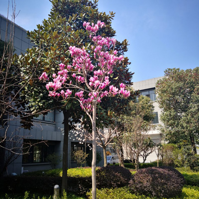 �S�^(q��)�h(hu��n)��